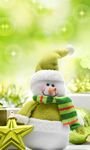 pic for Cute Green Snowman 768x1280
